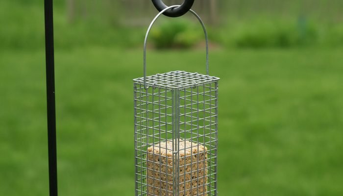 Wire suet cage feeder hanging from a shepherd's hook in a backyard
